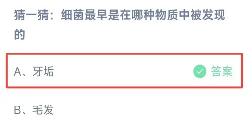 细菌最早是在哪种物质中被发现的