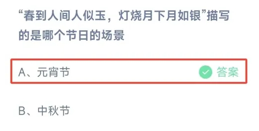 春到人间人似玉灯烧月下月如银描写的是哪个节日的场景