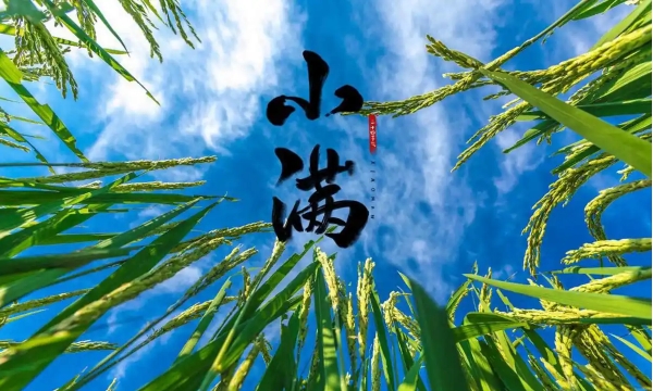 蚂蚁庄园5月21日正确答案最新版2025图二