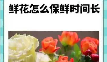 蚂蚁庄园6月14日正确答案最新版2025图三