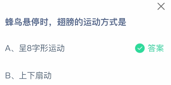 蜂鸟悬停时翅膀的运动方式是