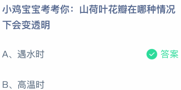 山荷叶花瓣在哪种情况下会变透明