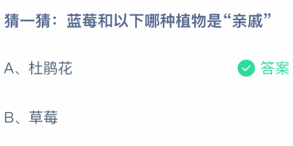 蓝莓和以下哪种植物是亲戚