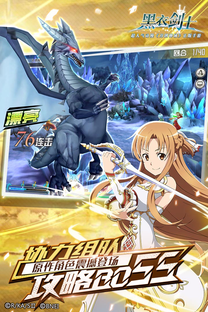 黑衣剑士电脑版