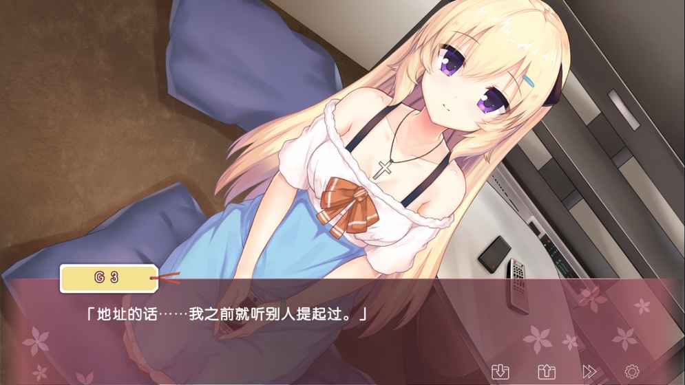 Iris电脑版