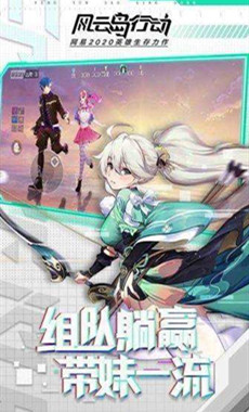 风云岛行动电脑版