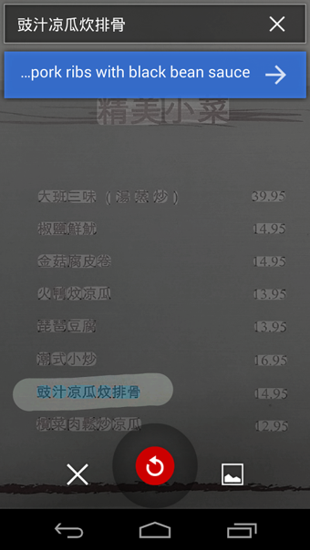 谷歌翻译电脑版