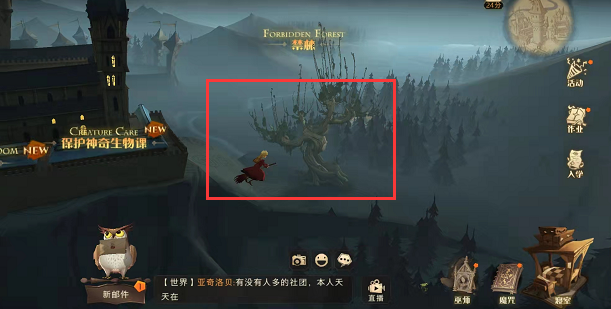 哈利波特打人柳攻略 在哪怎么打