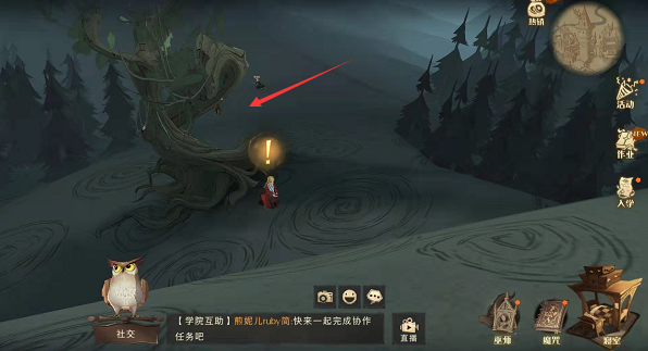 哈利波特打人柳攻略 在哪怎么打