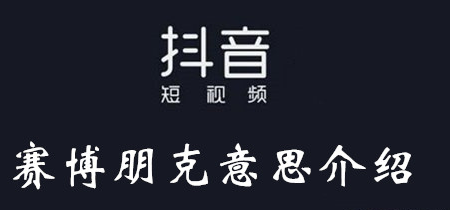 赛博朋克是什么意思