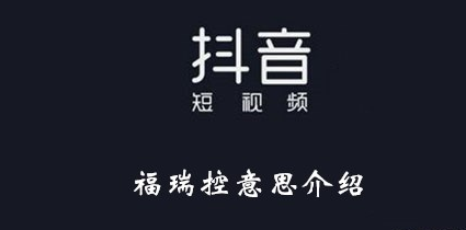 福瑞控是什么意思