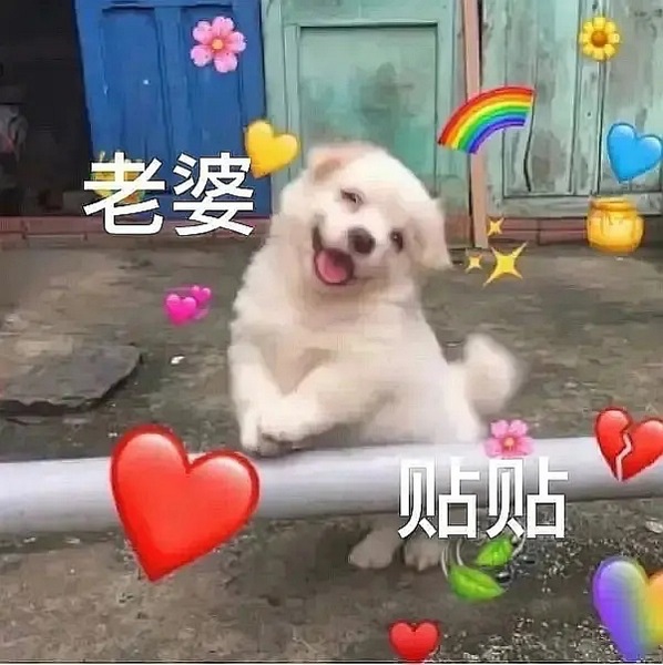 贴贴什么意思梗 贴贴梗的意思含义出处介绍