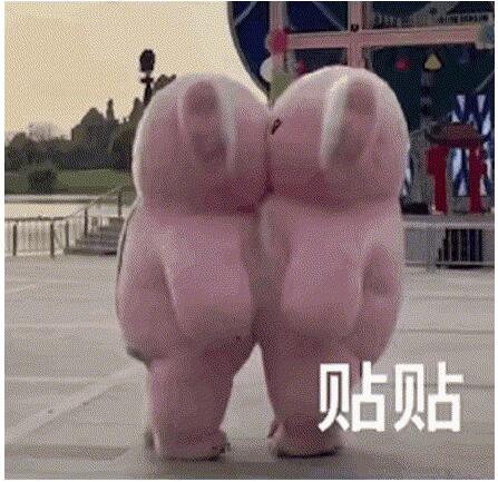贴贴什么意思梗 贴贴梗的意思含义出处介绍