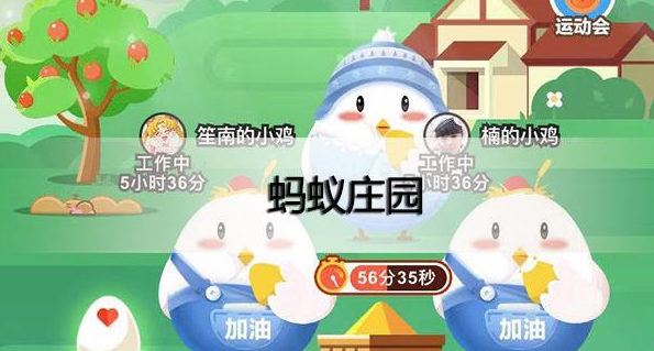下列哪种植物，又被称为黄花地丁、婆婆丁