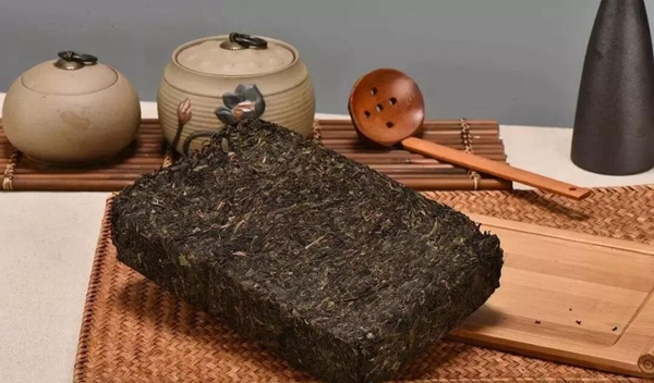 抖音黑茶青茶菊花茶梗意思