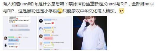 rip是什么意思啊