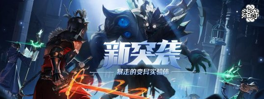盘点2021年的洛奇的经历历程