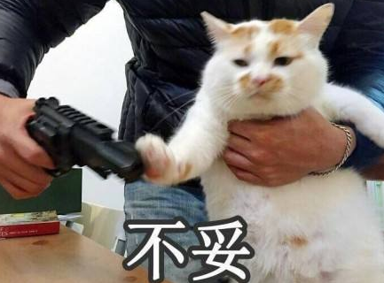 ptsd梗的意思、含义、出处介绍