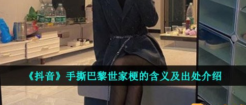 巴黎世家是什么意思梗