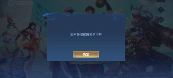 王者荣耀体验服不是白名单用户什么意思