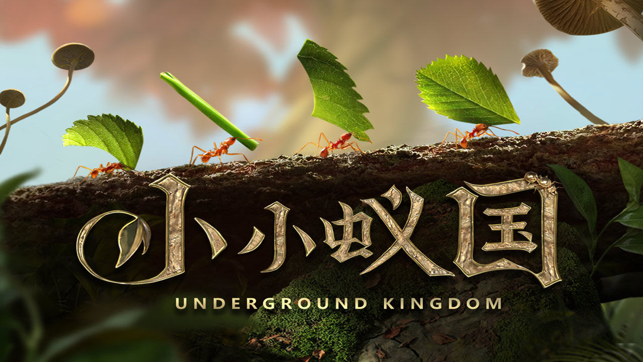 小小蚁国怎么在电脑上玩