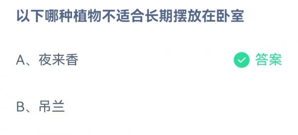 以下哪种植物不适合长期放在卧室