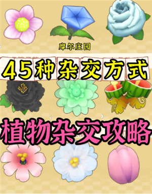 摩尔庄园杂交变异植物配方分享