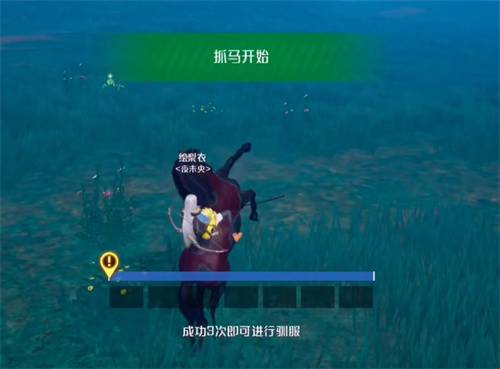 诺亚之心怎么抓野马 马匹捕捉方法攻略