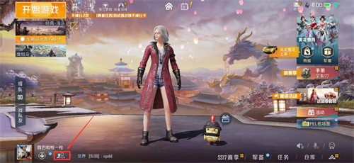 和平精英怎么设置隐身不让别人看到你上线