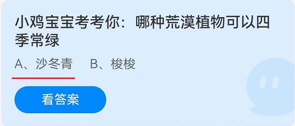 小鸡宝宝考考你:哪种荒漠植物可以四季长春?
