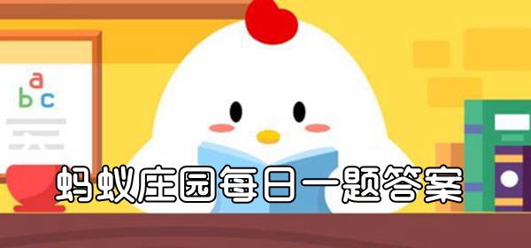 偶像人生电脑上怎么玩
