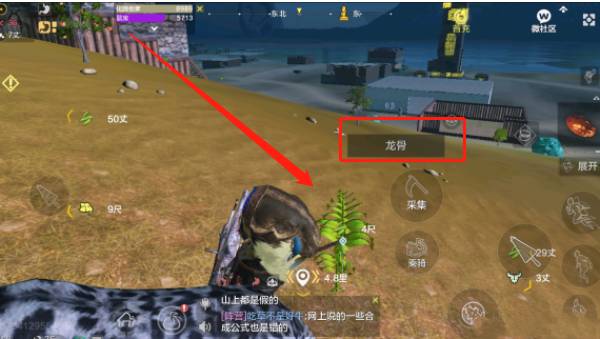 妄想山海龙骨草在哪里采集