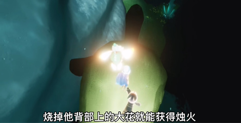 光遇大海龟位置在哪里