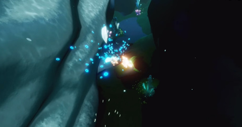 光遇大海龟位置在哪里