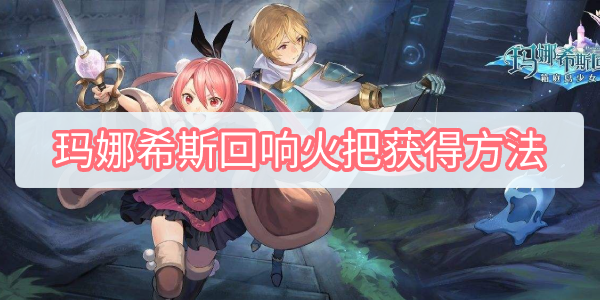玛娜希斯回响火把在哪