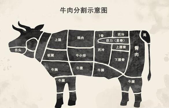 美味的肉眼牛排其实是牛什么部位的肉