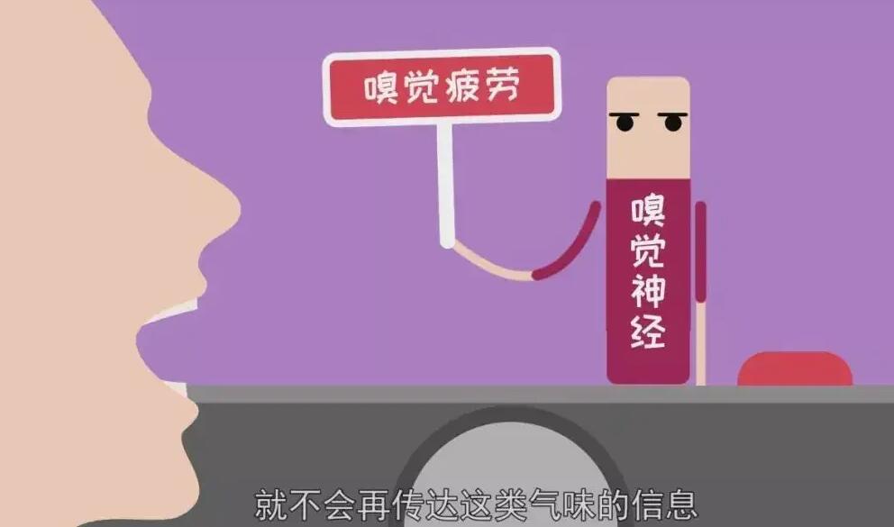 常听说视觉疲劳那会有嗅觉疲劳吗