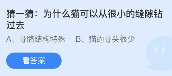 为什么猫可以从很小的缝隙钻过去