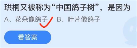 珙桐又被称为中国鸽子树是因为