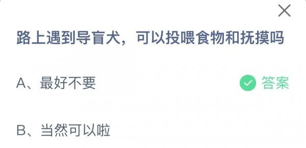 路上遇到导盲犬可以投喂食物和抚摸吗