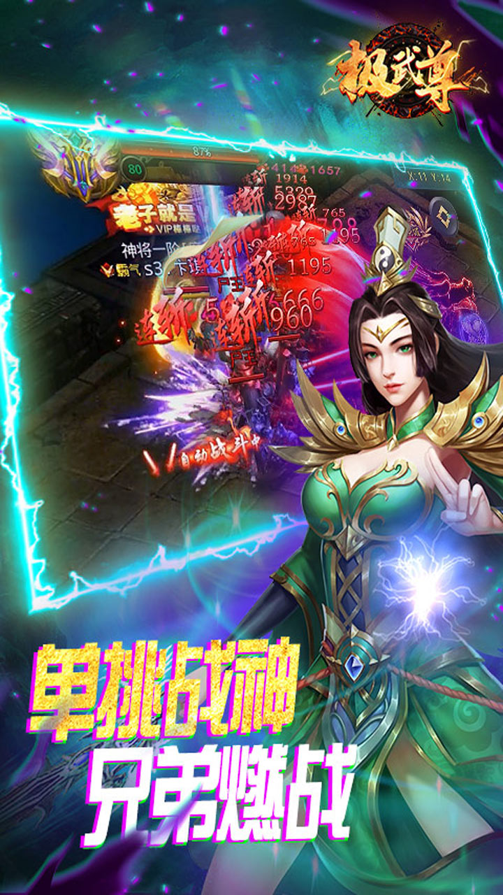 极武尊金装正版电脑版