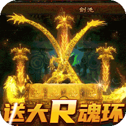 龙之守护无限版电脑版