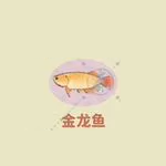 桃源深处有人家关六菲喜欢什么3