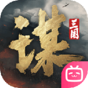 三国谋定天下电脑版