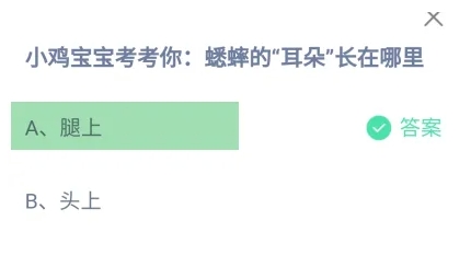 蟋蟀的耳朵长在哪里