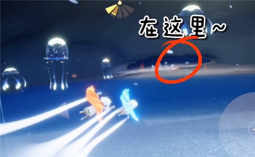 光遇水母先祖在哪2